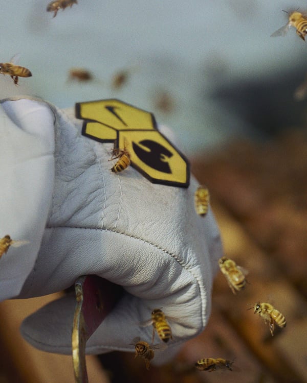 009_nike-x-wu-tang-clan-dunk-9
